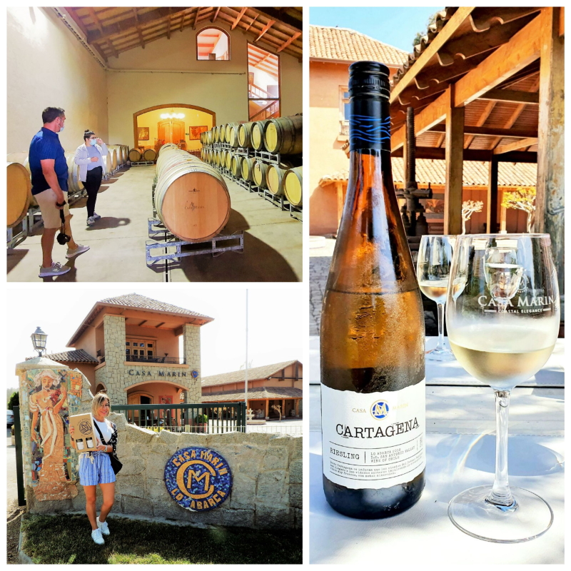 Viña Casa Marin Winery Sala de Barricas Mosaicos Riesling Cartagena