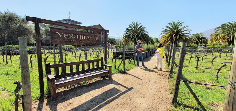 Veramonte Vineyards