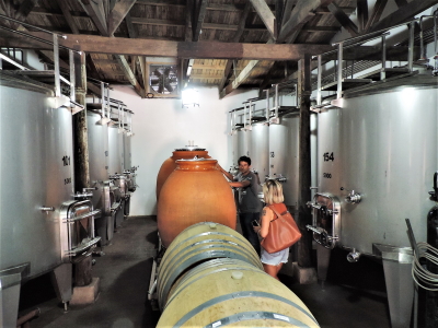 Bouchon Winery Chile Amphora & Barrels