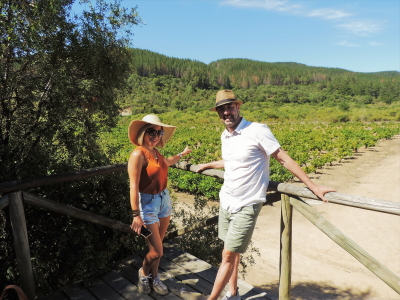 View Point to Old Pais Vines Bouchon Maule