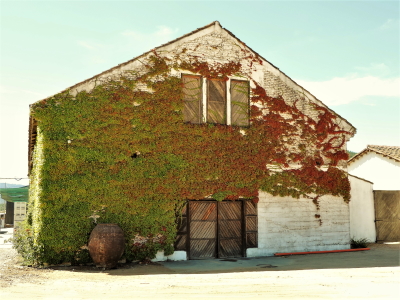 Bouchon Winery Maule MIngre