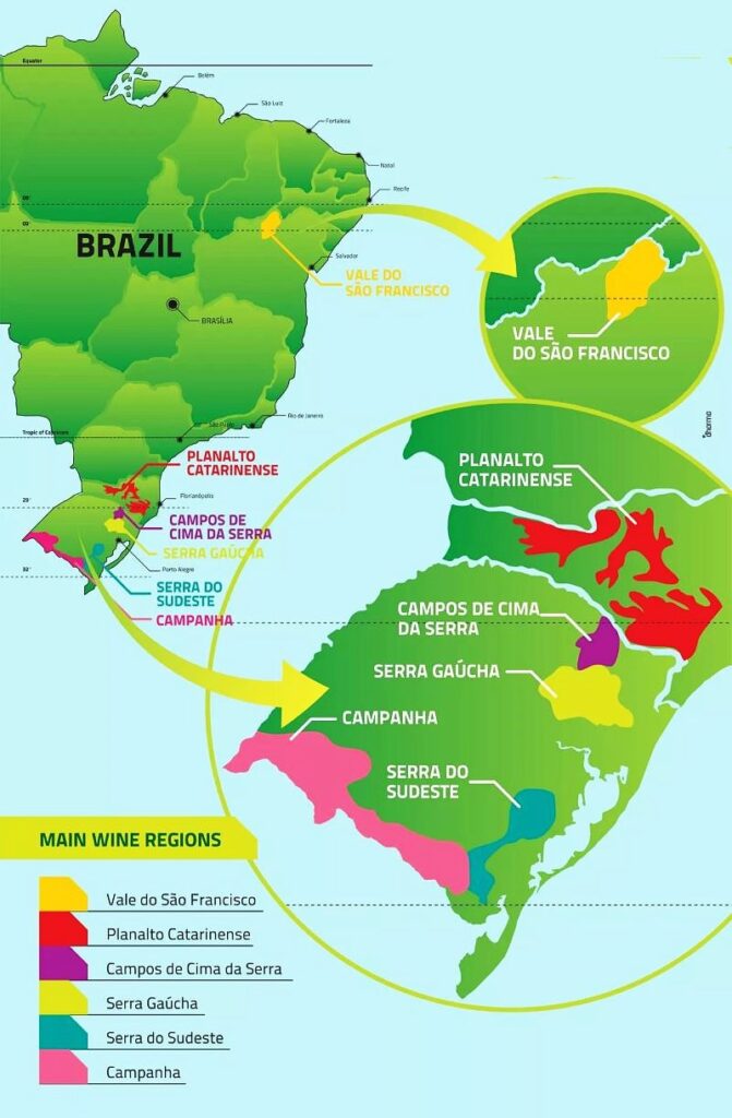 regiones vinos brasil